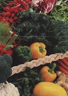 Prótese Odontológica -doenças profissionais alimentação